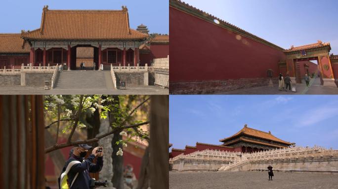 北京故宫旅游游客