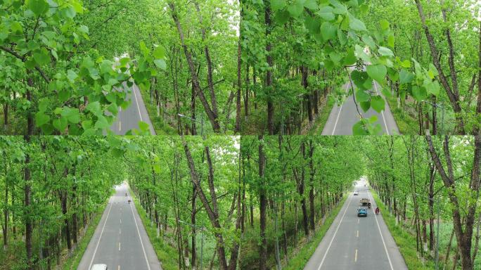 乡村道路航拍绿色小道