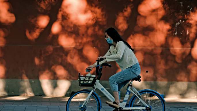 北京旅游 红墙光影