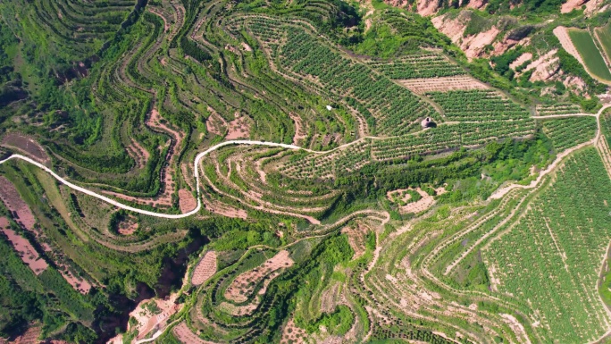 4k航拍山区大山自然风光生态环境B