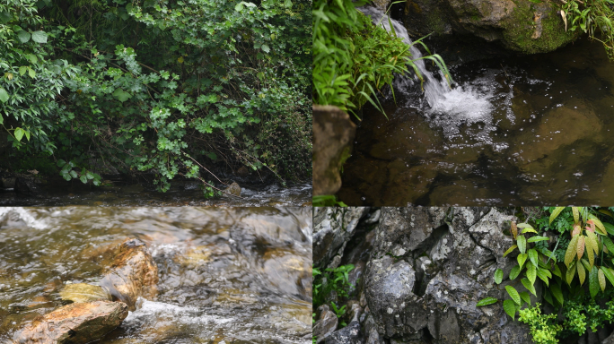 下雨时深山里的小河溪流