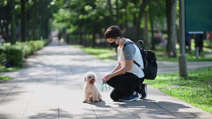 早上，中国亚裔中年短发女性与她的宠物狗玩具贵宾犬在公园里粘在一起
