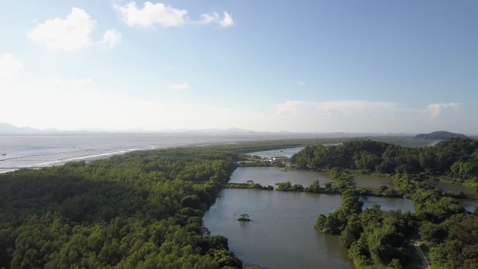 海岸绿洲，海岸森林，珠江入海口