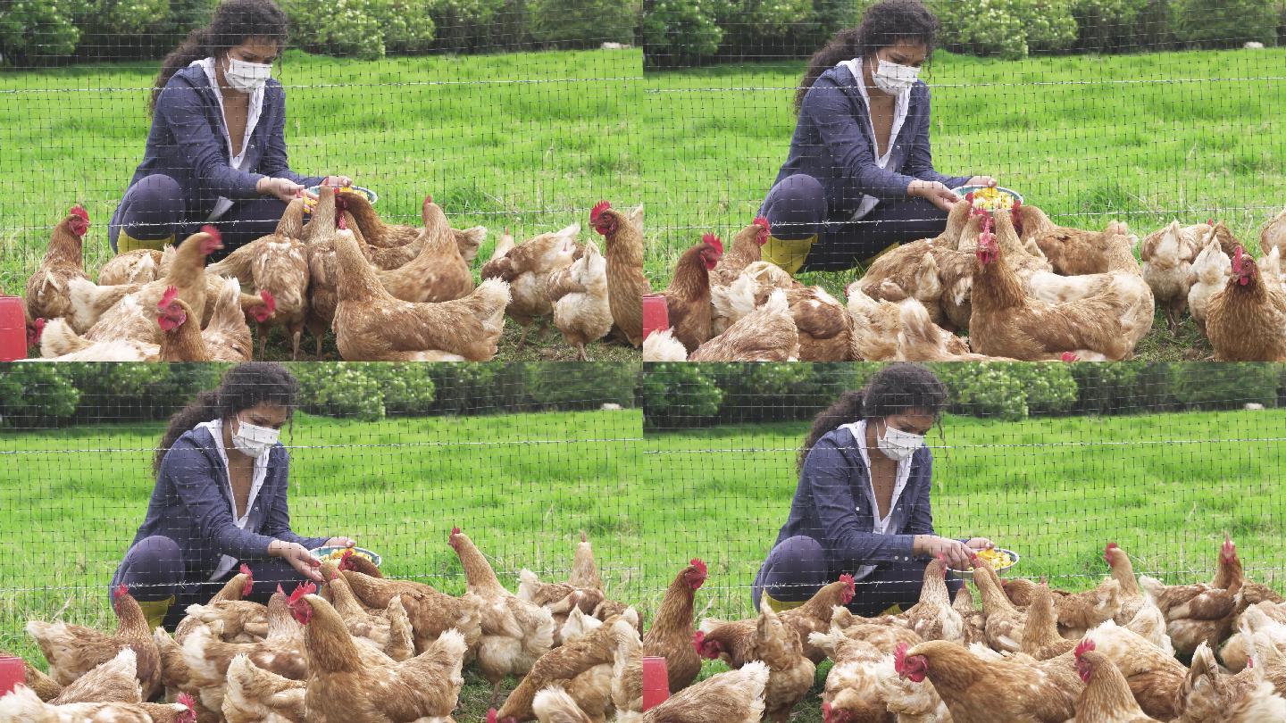 在新冠病毒大流行期间，一名卷曲的黑发女子戴着口罩在农场养鸡