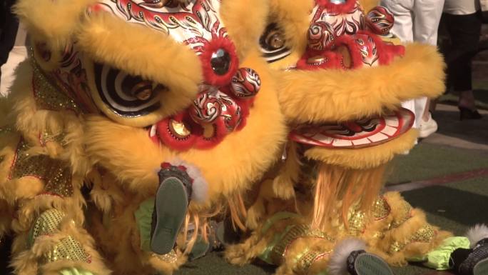 中国狮子表演，农历新年。