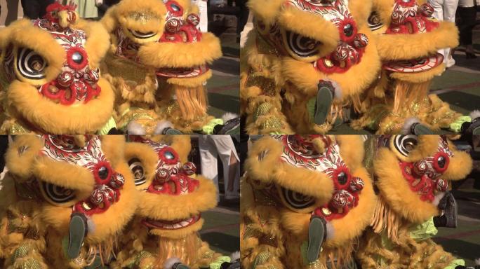 中国狮子表演，农历新年。