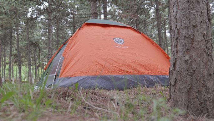 野外树林里的帐篷