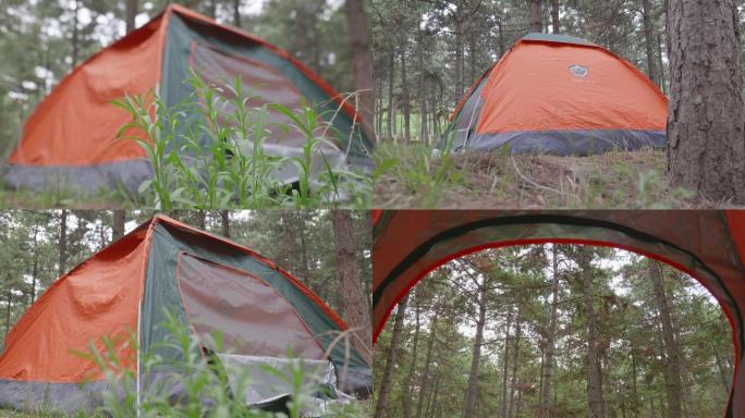 野外树林里的帐篷