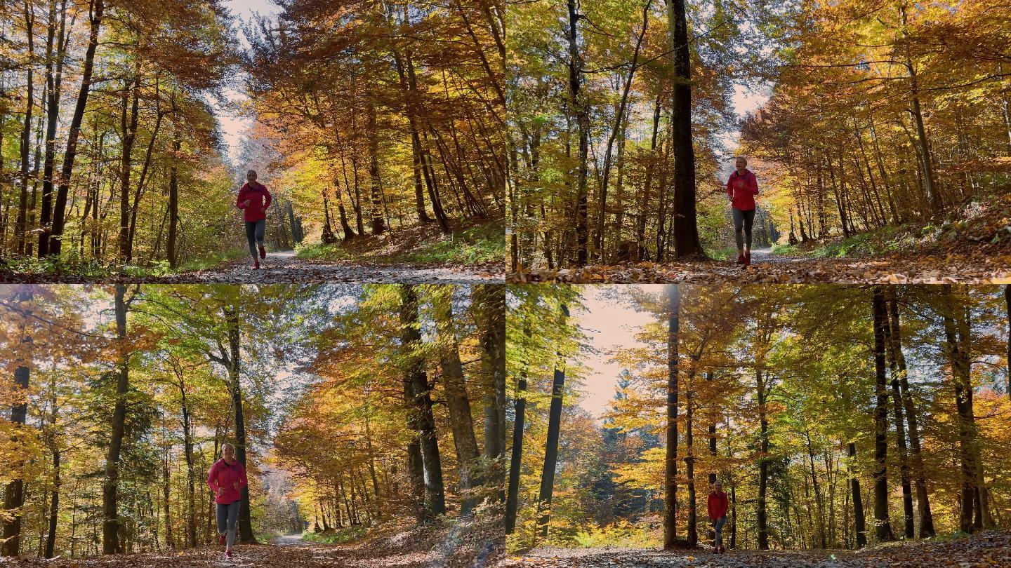秋天阳光明媚的一天，TS女跑步者在森林中跑步