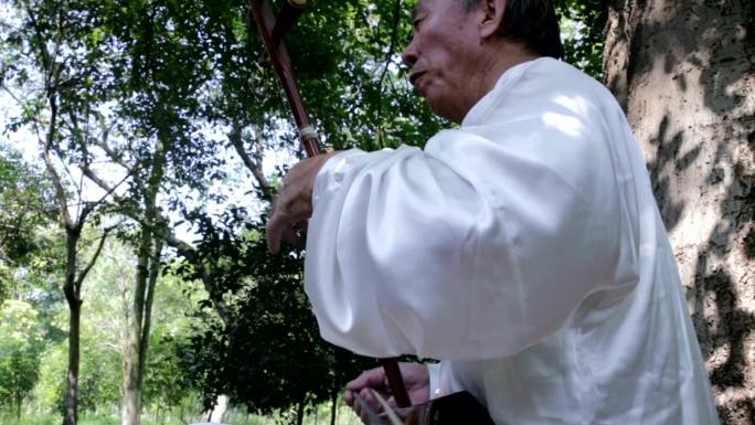 老人在公园里演奏中国传统二胡