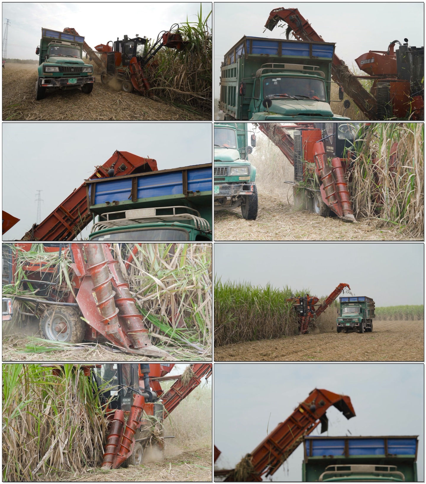 机械化收割甘蔗