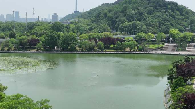 【5K】月湖风景区