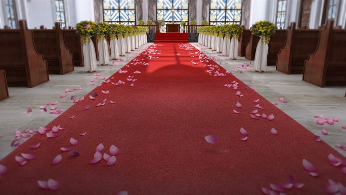 婚礼堂 结婚 红毯