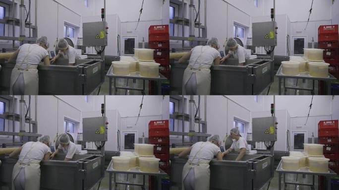 乳品厂的女性清洗机