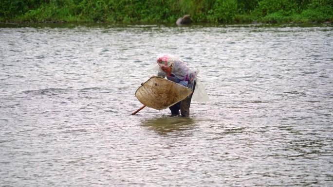 苗族妇女捕捞水蜈蚣