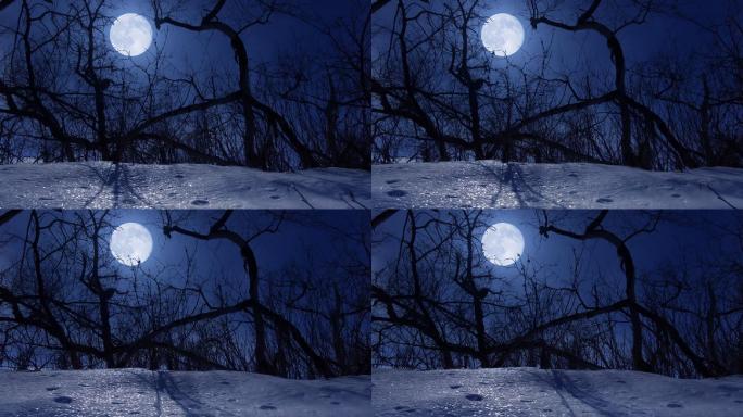 冬夜冬天雪地夜景黑夜月光下的雪地圆月清冷