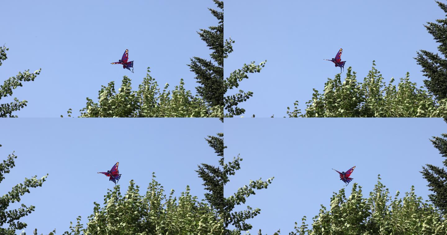 蝴蝶形风筝在夏天的蓝天上飞翔