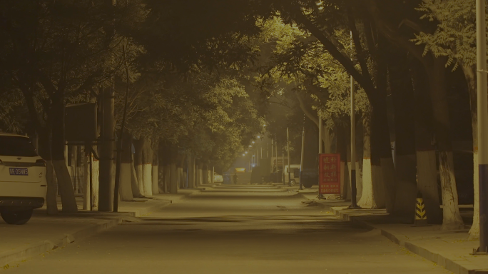 夜景 城市夜景 猫 空街道 路灯 路人