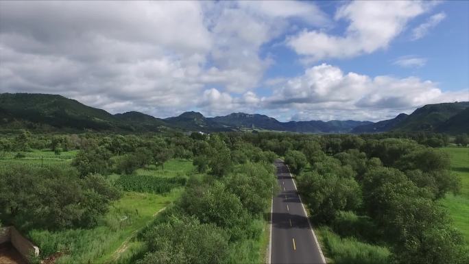 承德-塞罕坝-林场