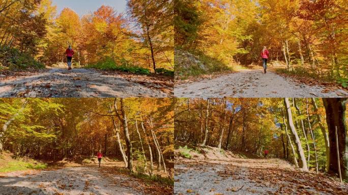 TS女亚军在秋天的一条砾石森林路上跑步
