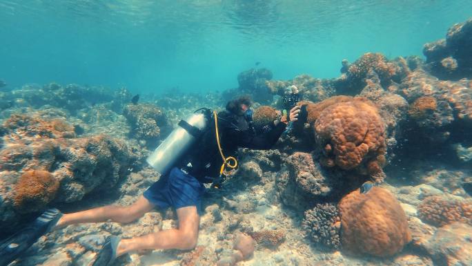 水下潜水员拍摄海洋生物