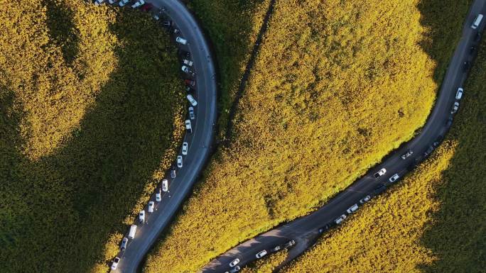 延时鸟瞰无人驾驶飞机日落景观“东布阿通”梅洪子自然之花