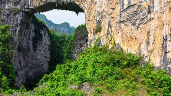 原始森林中有一个巨大的洞穴