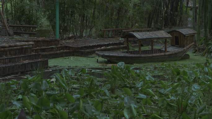 4K下雨天竹林公园自然风光空镜