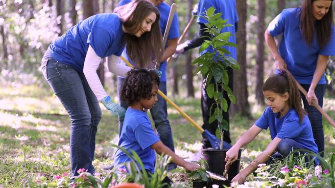 环境美化。春天，志愿者们在公园里种花、种树、种草。