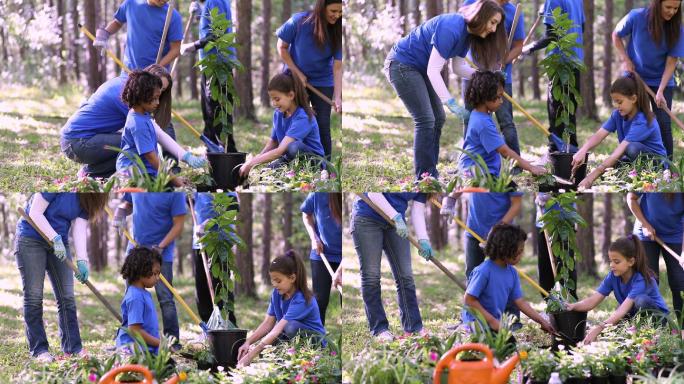 环境美化。春天，志愿者们在公园里种花、种树、种草。