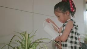 小女孩浇水树室内股票视频视频素材
