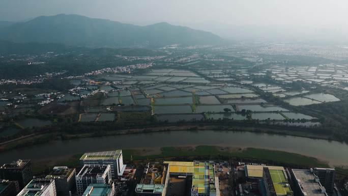 农田视频香港落马洲水产养殖区深圳河套风光
