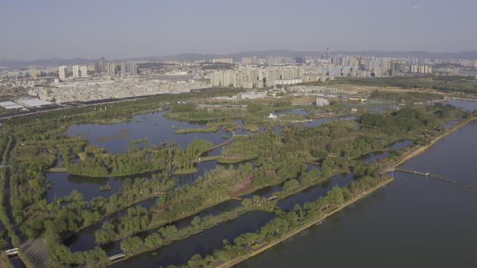 航拍呈贡斗南湿地原始素材