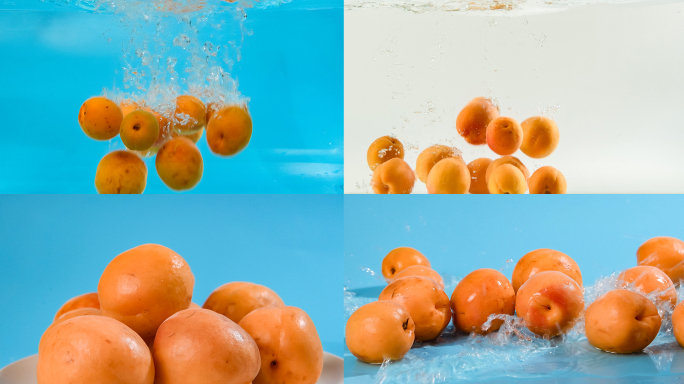 杏水果果实实拍