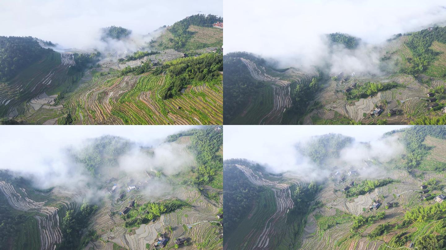 乡村振兴梯田云海春景航拍素材