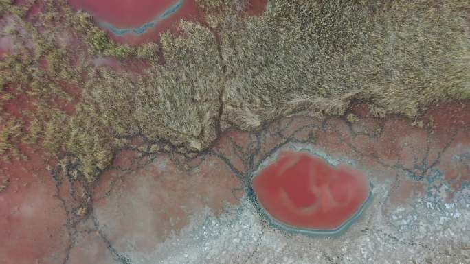 红色沙漠湖泊乌兰湖 阿拉善自然景色
