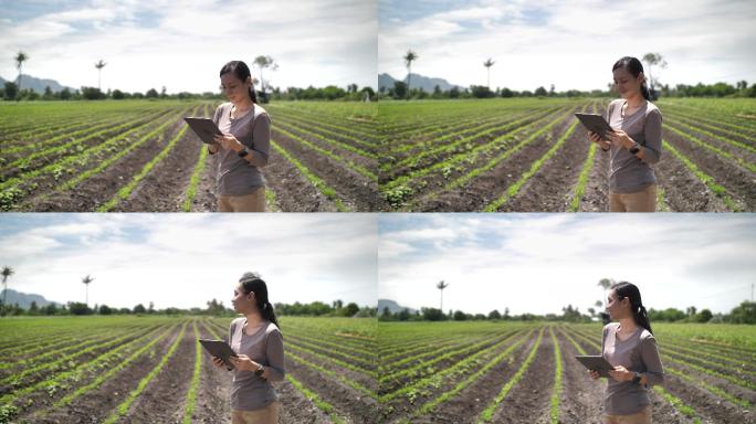 亚洲农民在农场使用数字平板电脑，特写