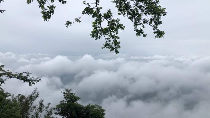 峰山  生态   人生巅峰  云雾