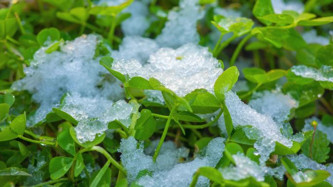 春季融雪的延时拍摄