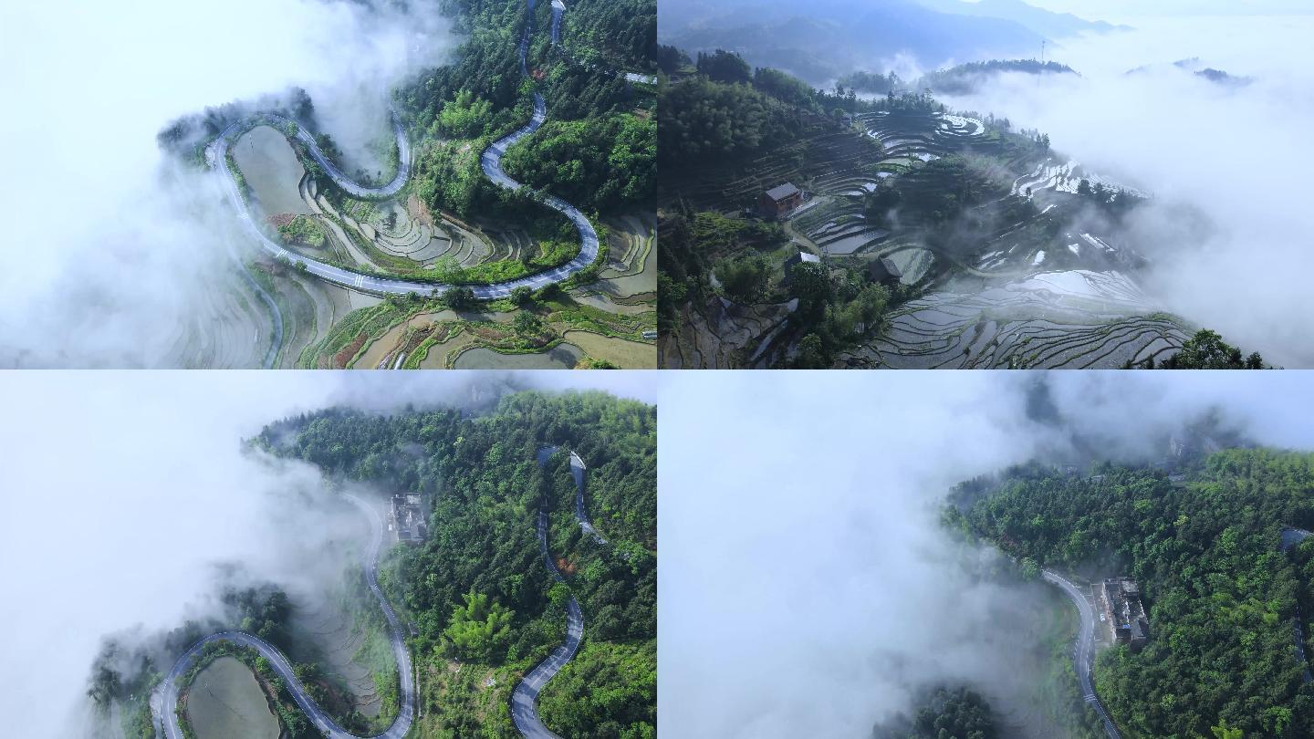 乡村振兴紫鹊界梯田云海春景油路