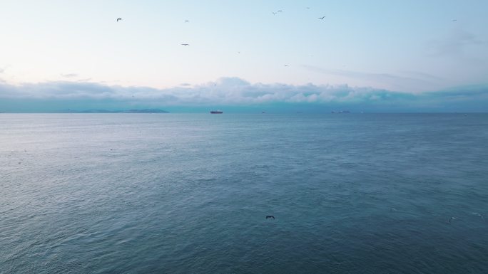 鸟儿在海中央孤独的船周围飞翔