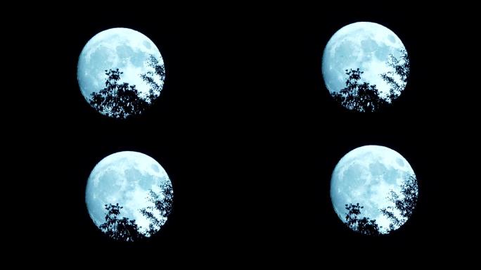 月亮在夜间移动赏月