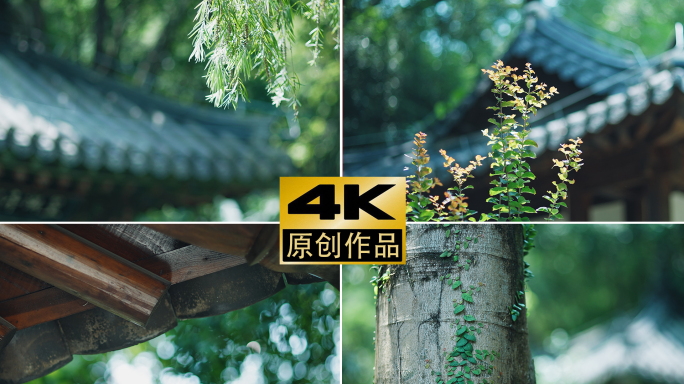 4k古建筑屋檐绿植意境