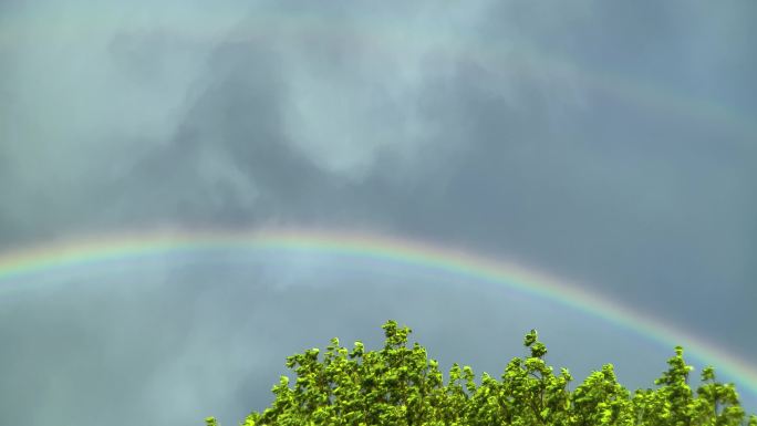 栗树上美丽的彩虹雨后风雨后