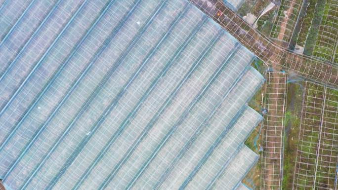 农田蔬菜低空航空摄影