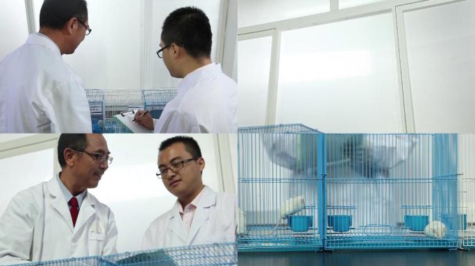Y037科研人员对小白鼠实验做记录