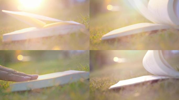 看书翻书 草地上的书唯美