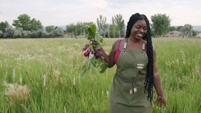 科罗拉多州一家当地小企业农场的餐桌供应商手中拿着美味的新鲜红色甜菜，一位年轻快乐的非裔美国女农家女孩