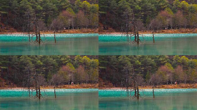 美丽的湖水唯美风光山坳坳景区河川青山绿水