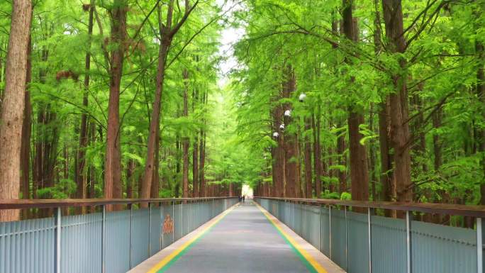 航拍杭州市临安区青山湖绿道